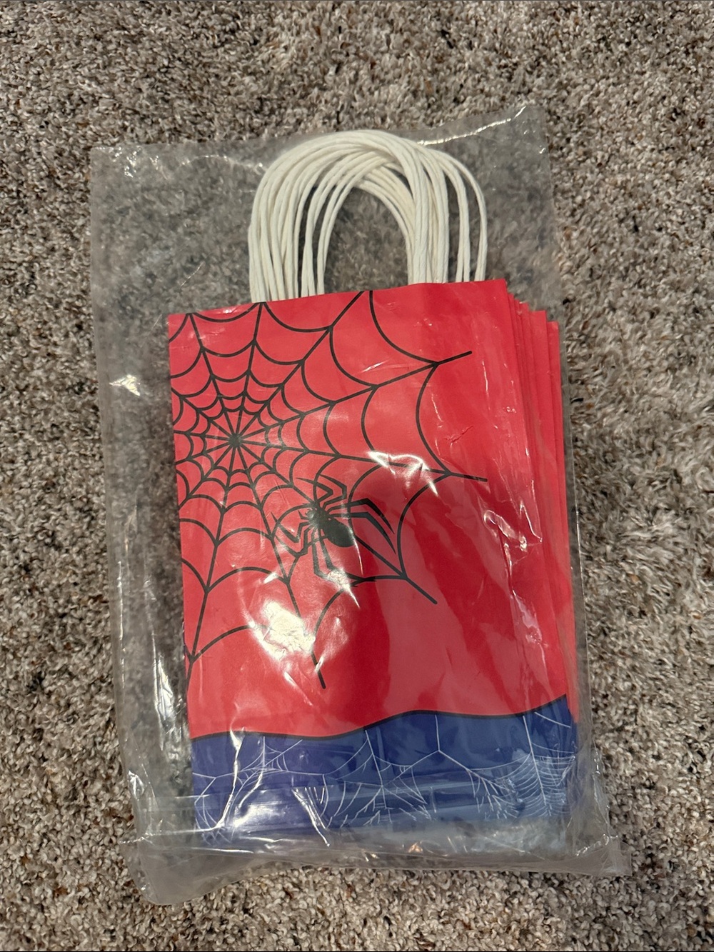 Spider Web Treat Bags